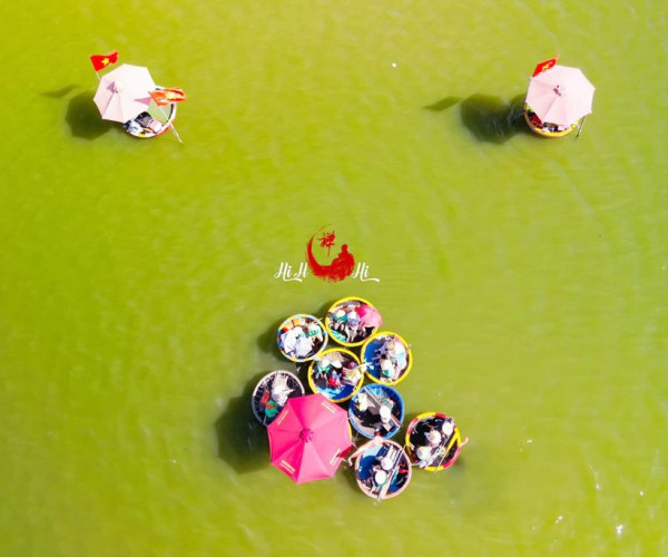 Hoi An Travel Daily Tours